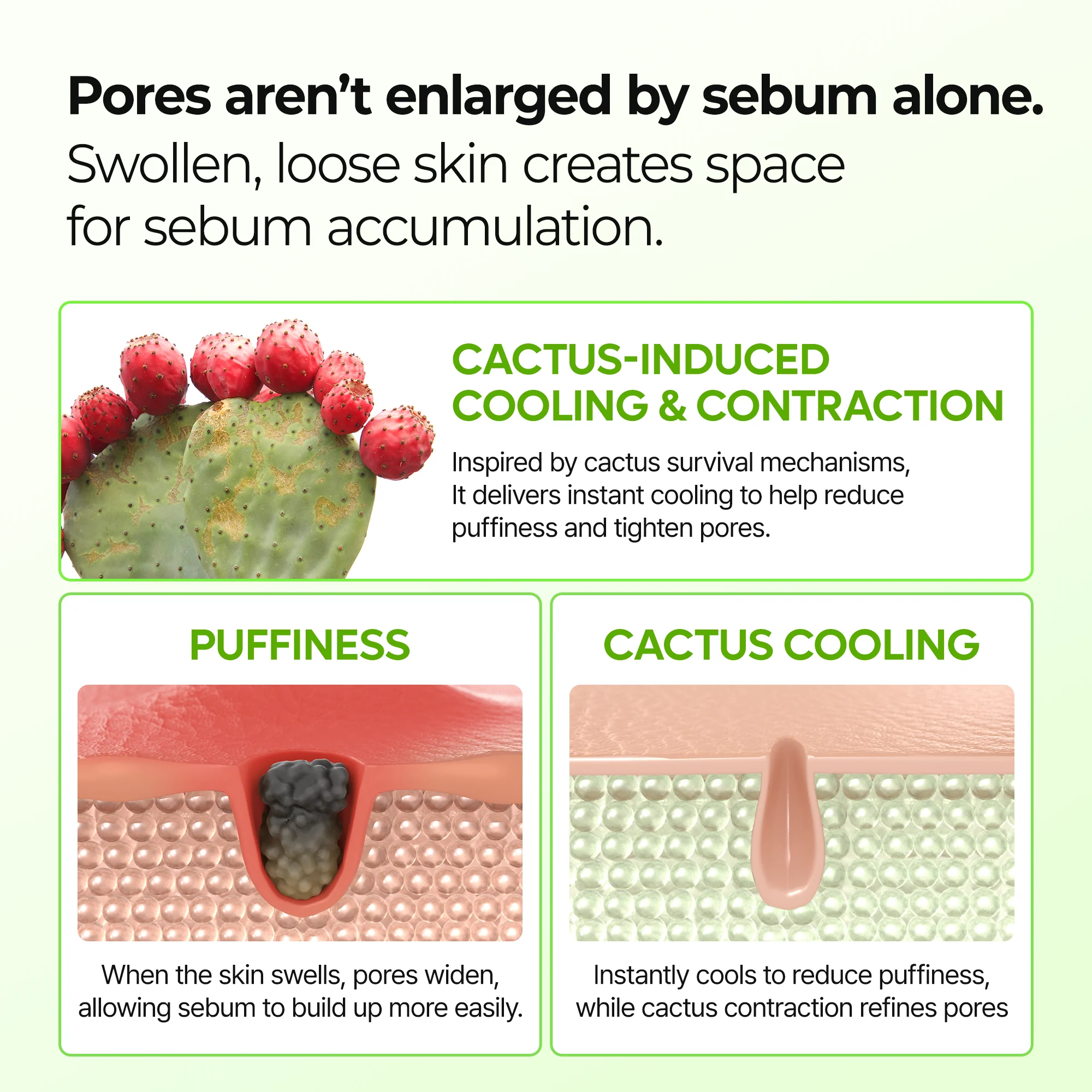 Cactox & Collagen Multi Pore Firming Balm Duo - Image 5