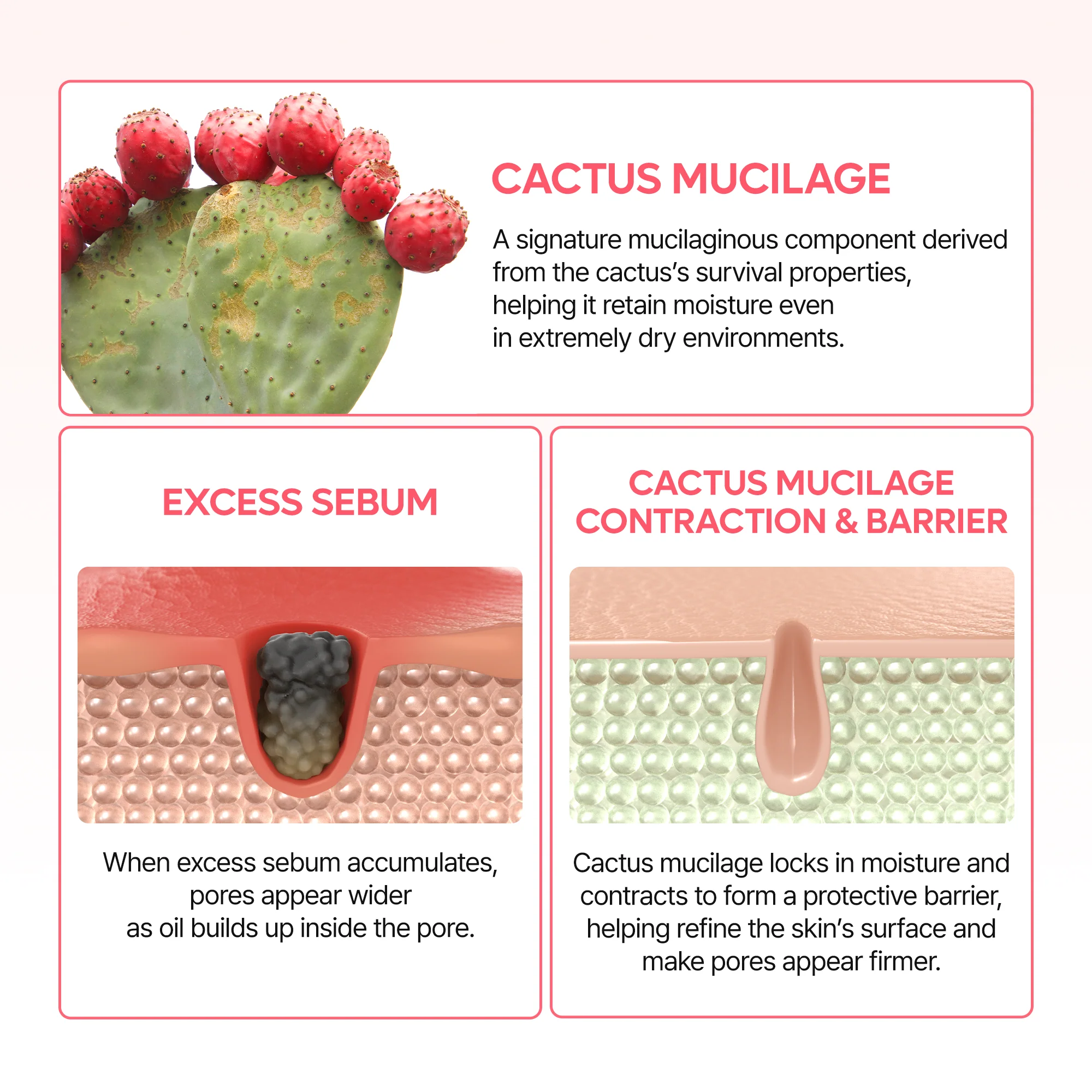 EDITOR'S PICK | Korean Glass Skin Cooling & Firming 7-Step Set - Image 21