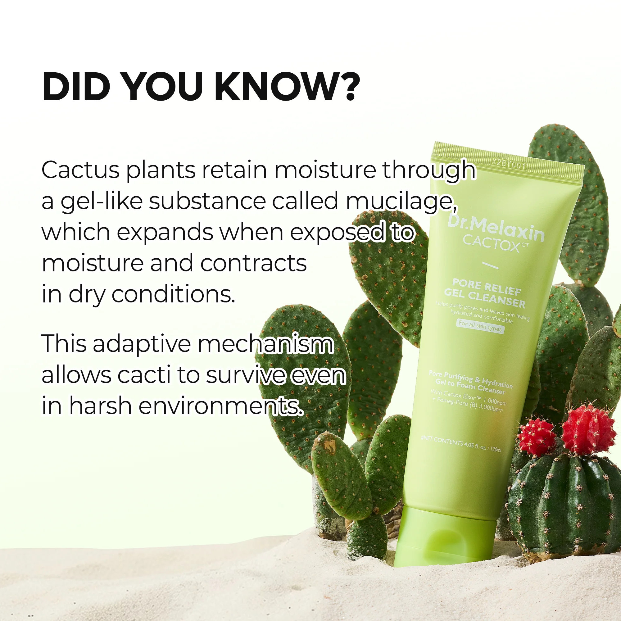 CACTOX Pore Relief Gel Cleanser - Image 3